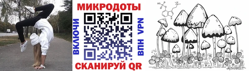 Псилоцибиновые грибы Cubensis  кракен ссылки  Коломна 